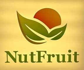 Nut Fruit